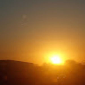 Meet your Posher, Cheyenne